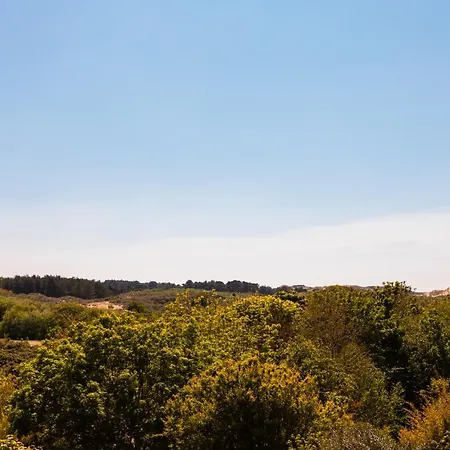 Villa Superbe Maison Avec Piscine Et Jacuzzi Dans Les Dunes *