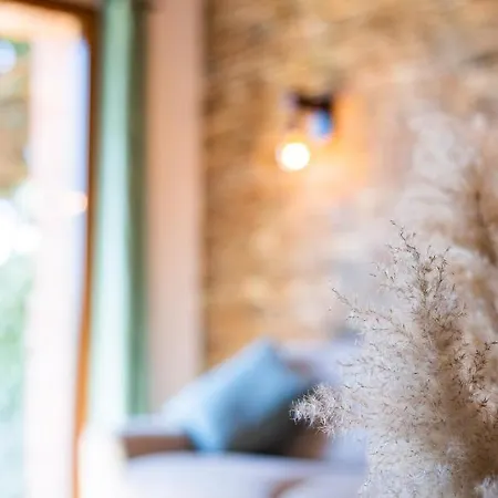 Superbe Maison Avec Piscine Et Jacuzzi Dans Les Dunes *